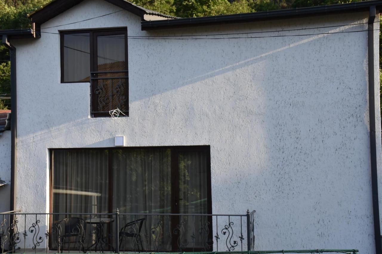 Eleana Villa Borjomi Luaran gambar